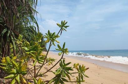 Beach front land in Ranna, Kahandamodara