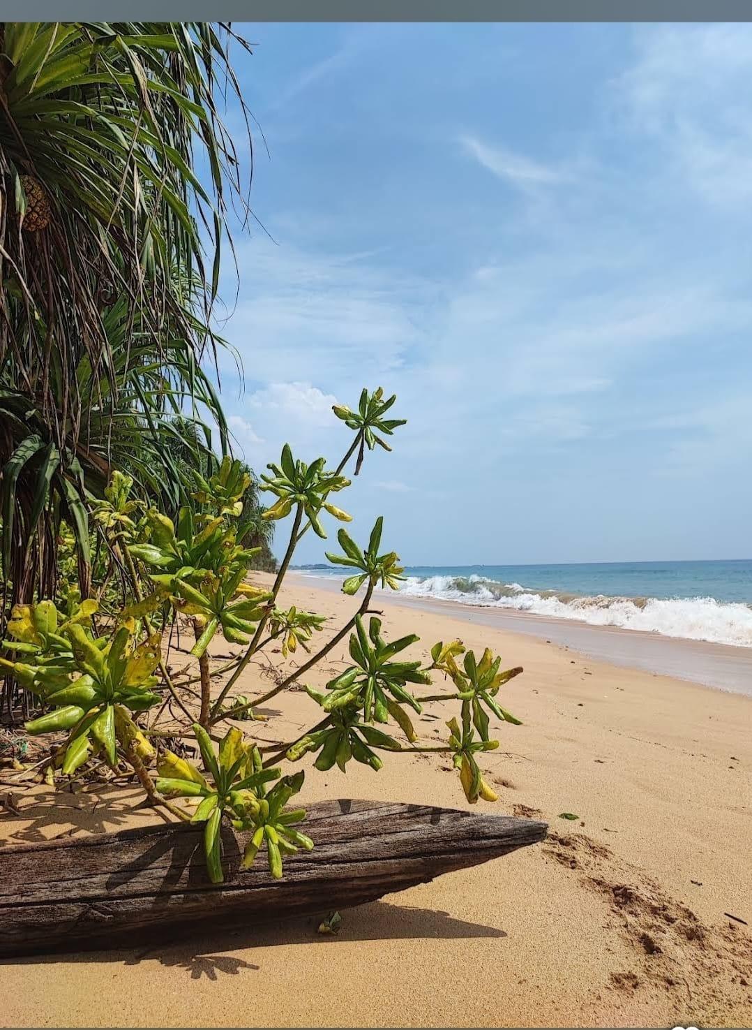 Beach front land in Ranna, Kahandamodara