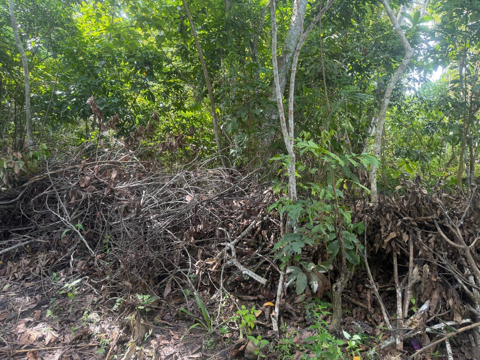 Land in Polwatumodara, Weligama