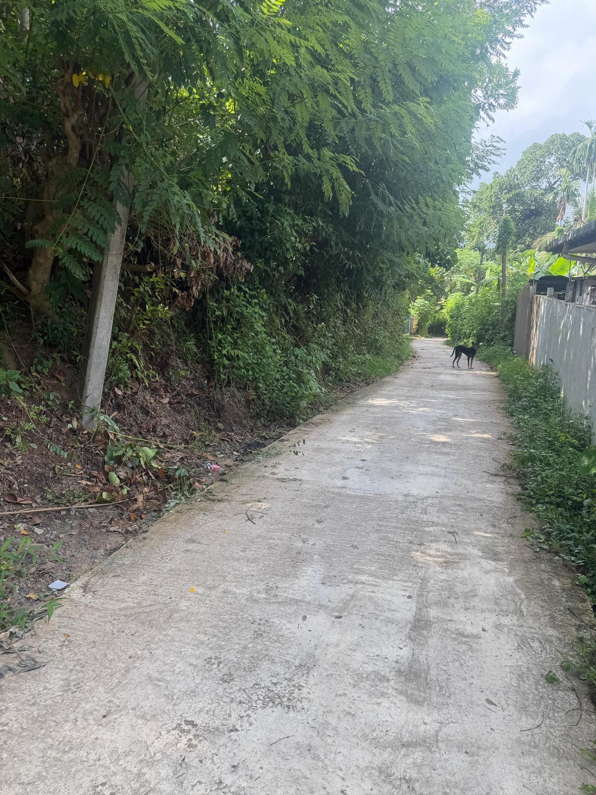 Land in Polwatumodara, Weligama