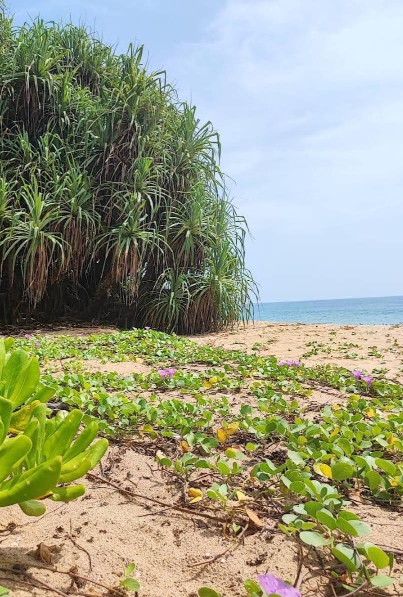 Beach front land in Ranna, Kahandamodara