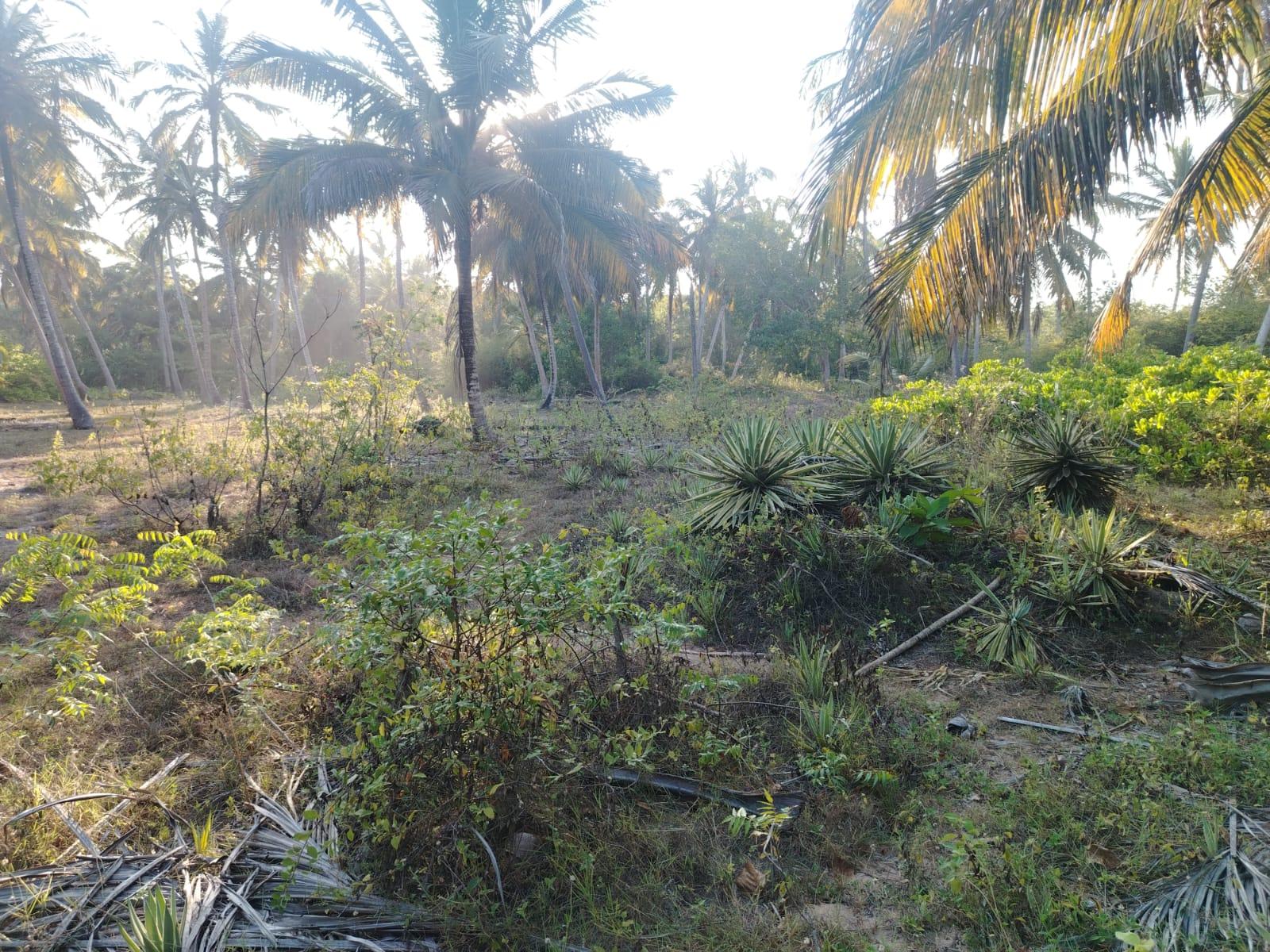 Beach front land in Ranna