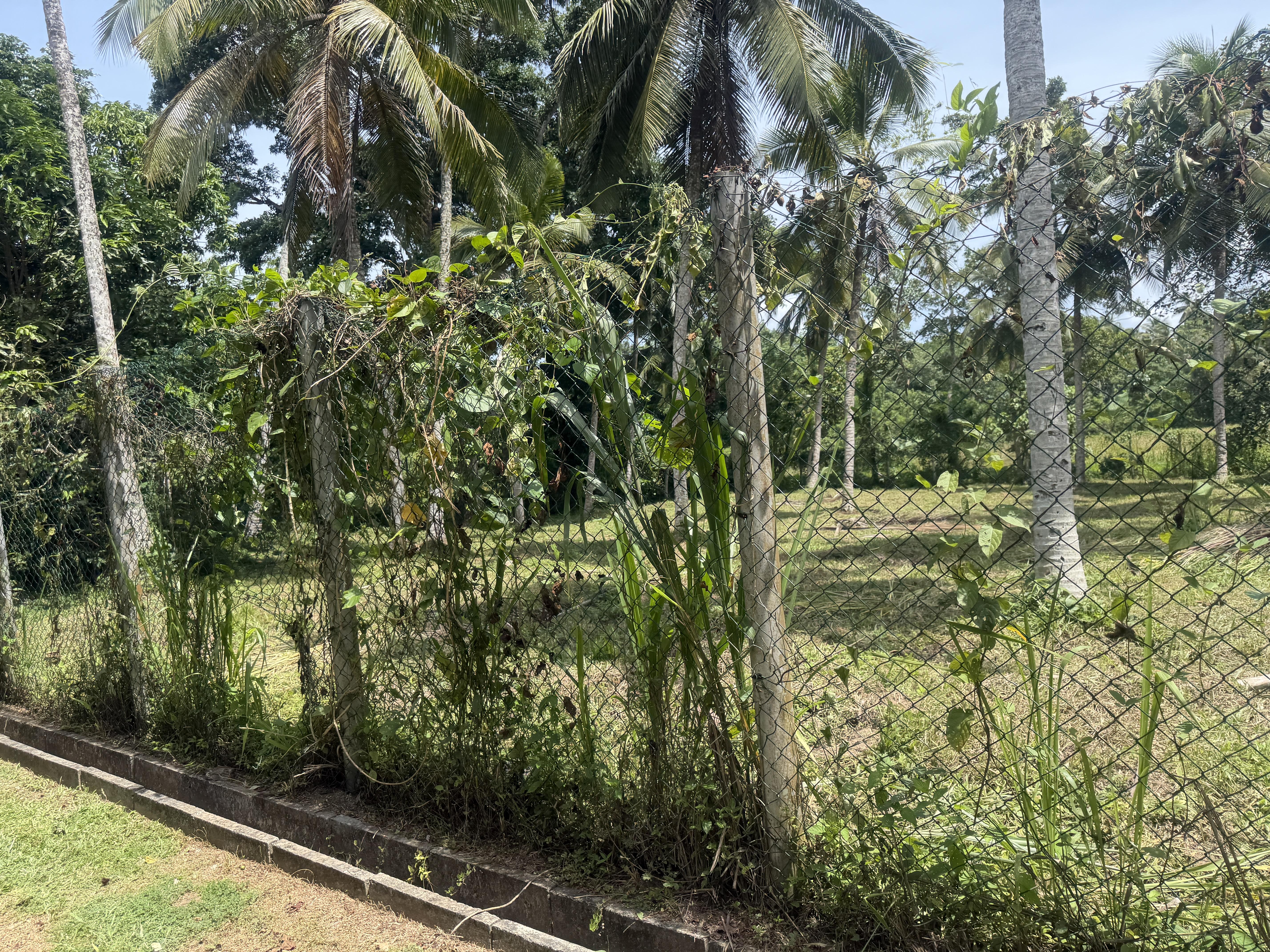 Premium Land in Meepe, Talpe