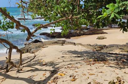 Beachfront Land in Tangalle