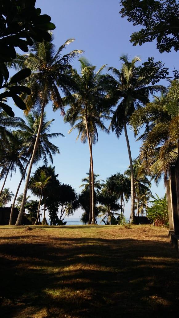 Premium Beachfront Land in Galle