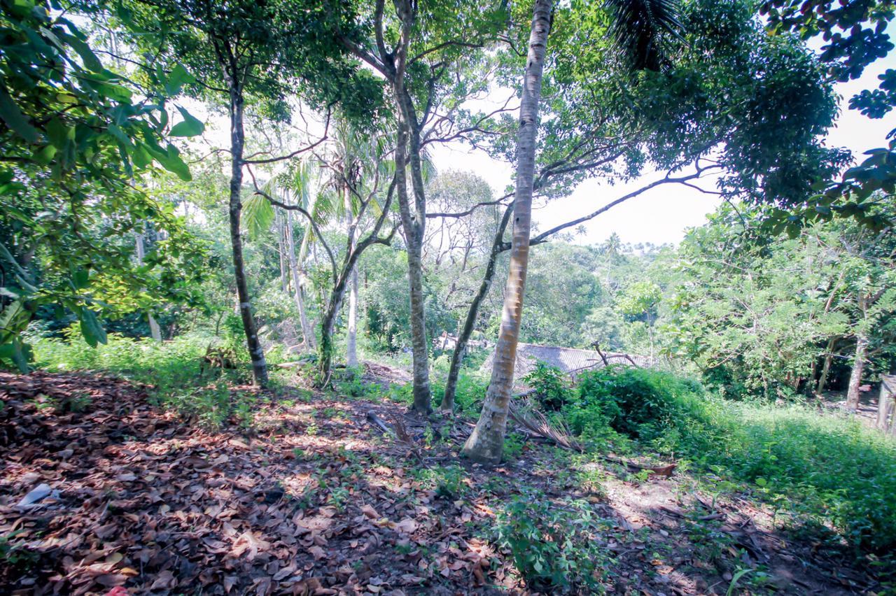 Beachside Land for Sale – Weligama, Kubalgama