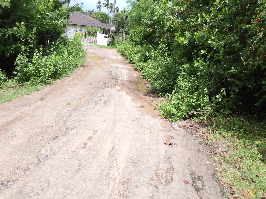 Beachside Land in Rekawa, Tangalle