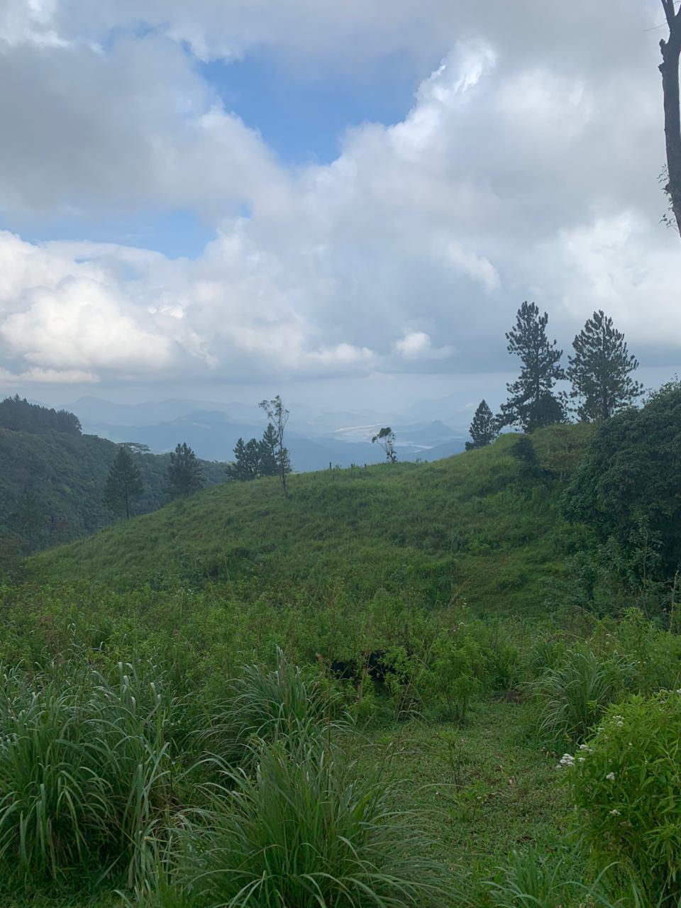 Mountain Land in Madolkele, Kandy, Sri Lanka