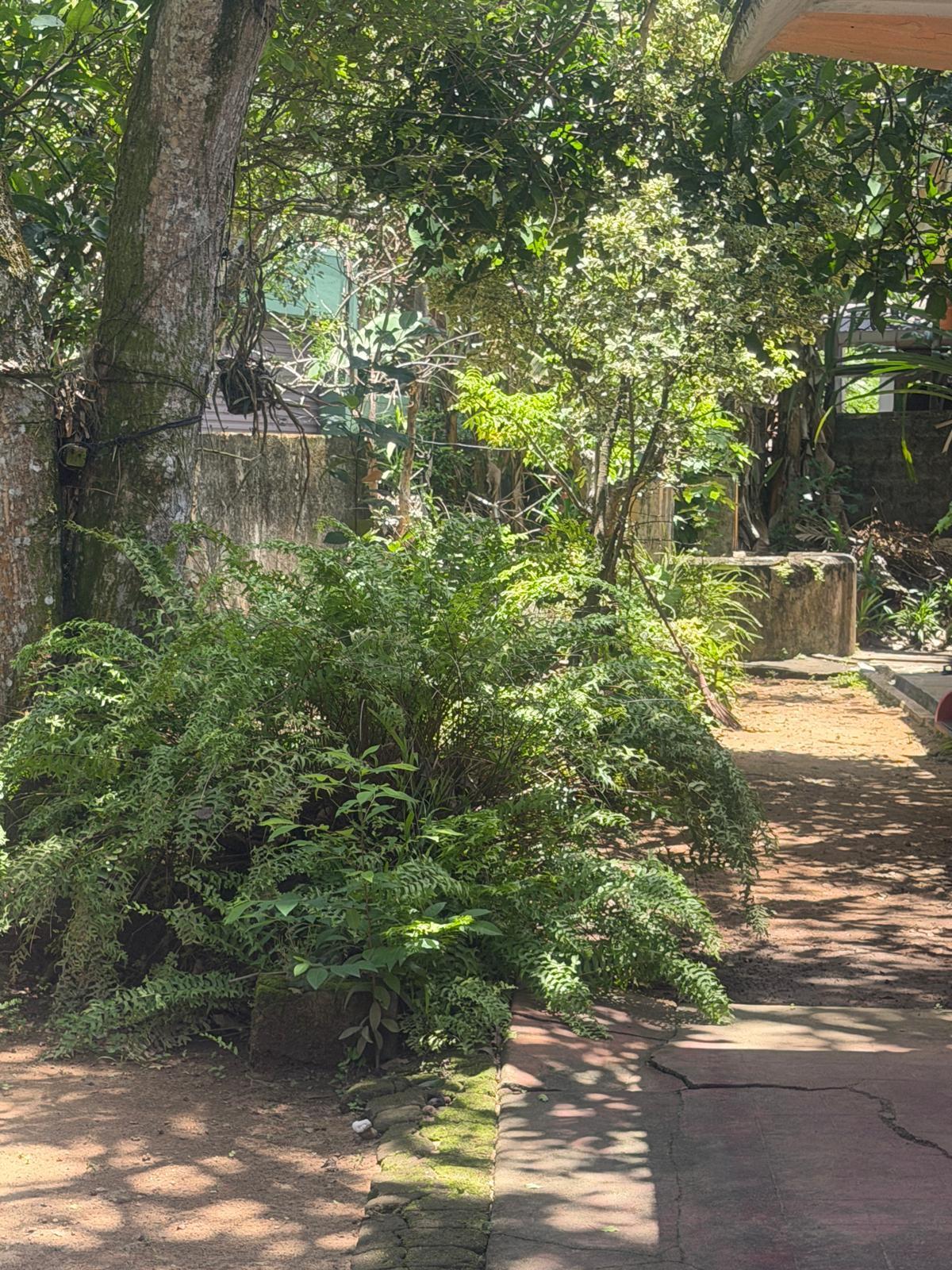 Land with Old House for Sale in Kithulampitiya Road, Galle