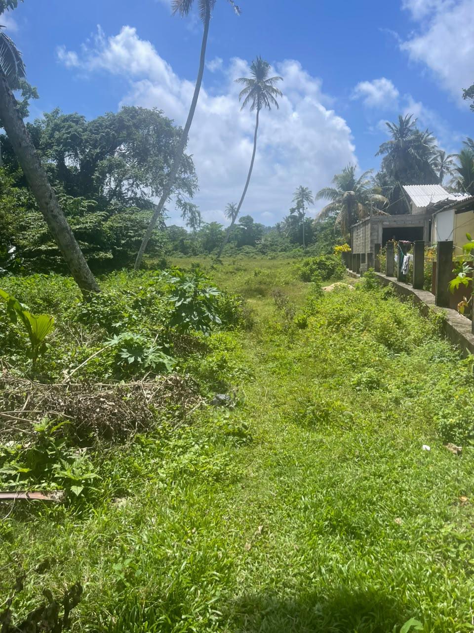 COMMERCIAL/RESIDENTIAL LAND IN GALLE