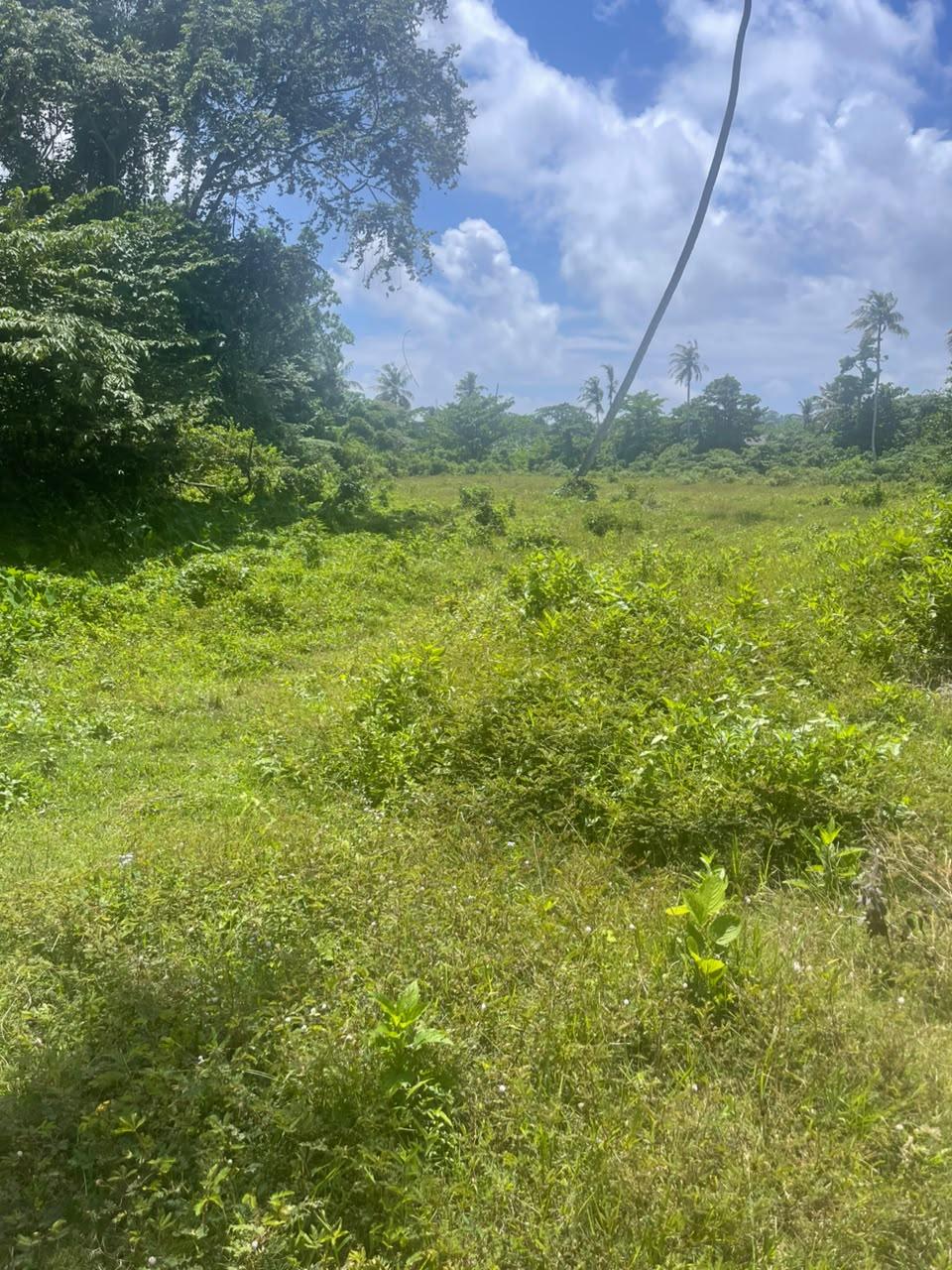 COMMERCIAL/RESIDENTIAL LAND IN GALLE